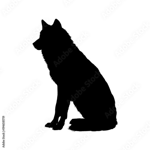 Silhouette of a sitting wolf, vector illustration