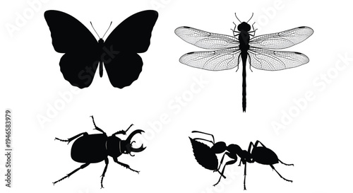 A collection of insect silhouettes on a white background