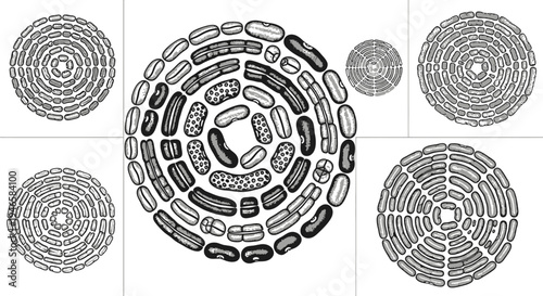 Abstract circular patterns of coffee beans in various arrangements and styles for natural organic beverage background and texture design vector set