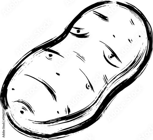 Rough hand-drawn ink sketch of a raw potato tuber isolated on white background, textured brush-stroke vector illustration