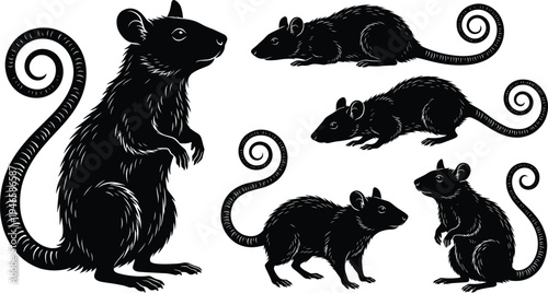 Vector rat and mouse silhouette collection featuring various poses with long curly tails and textured fur details for pest control logos wildlife nature and whimsical design.