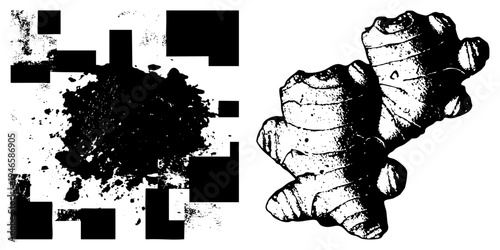 Abstract ink blot with geometric blocks, hand drawn ginger root with textured, vector art, artistic ink splatter, botanical sketch.