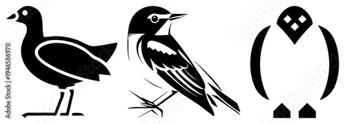 Black and white bird illustrations, minimalist avian, stylized feathered creatures, graphic design elements, flat vector art.