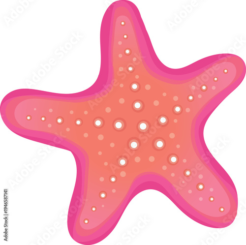 Pink Starfish Illustration

