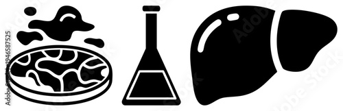 Scientific symbols for biology research petri dish with bacterial culture, Erlenmeyer flask, human liver organ. Medical, lab, and biological study tools.
