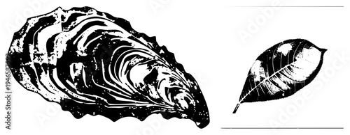 Graphic design featuring oyster and leaf with halftone texture, black and white vector art, nature motifs, stylized organic shapes, isolated foreground elements.