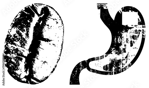 Black and white halftone coffee bean and stylized human stomach, distressed graphic design, digestive system, caffeine metabolism concept, vector art.