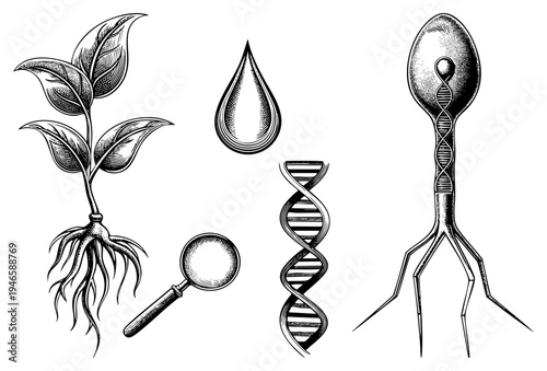 Vintage engraved illustrations of plant growth, DNA helix, bacteriophage, water droplet, and magnifying glass for lab study, scientific discovery, and biological research.