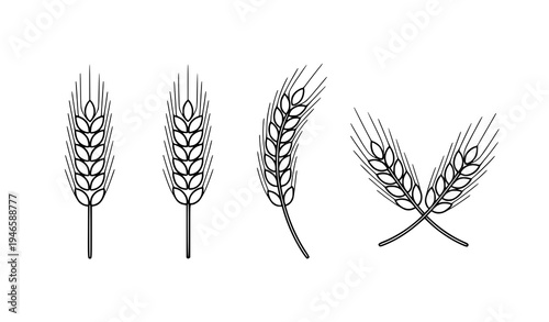 Minimal flat wheat ears icon set in simple style isolated on white background vector design