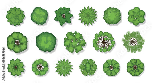 Top View Bushes and Shrubs Vector Set 