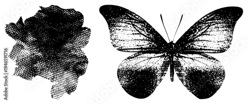 Classic halftone printed butterfly and rose, vintage engraving style, vector art, graphic design element, botanical illustration.