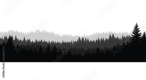 A serene forest landscape with trees in various shades of gray and black