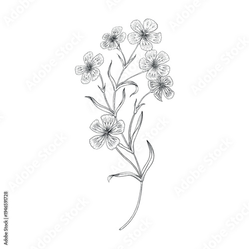 Collection of flowers and grasses drawn with black and white lines with copy space. Vector illustration for decorating books, scrapbooking, social media and invitations decor