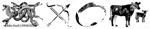 Black and white vector symbols multi headed serpent, bow arrow, abstract circular glyph, cow calf duo, isolated graphic elements.