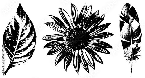 Black and white vector illustrations of botanical and avian motifs with distressed texture, nature symbols, rustic design, graphic art, printmaking style.