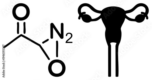 Chemical formula of acetylnitrosourea shown with bonds, alongside stylized female reproductive anatomy diagram, both in black vector.