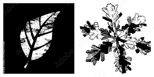 Black and white leaf with vein and halftone shading, paired with intricate snowflake design. Nature symbols, graphic elements, vector art, isolated motifs.