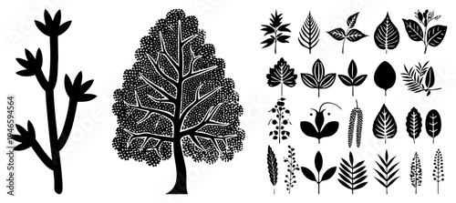 Black and white vector collection of flora, including stylized trees and leaf silhouettes, rendered in halftone dot and clean for graphic design use.