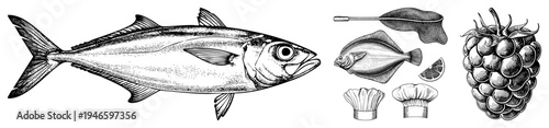Classic halftone engraving of tuna, flounder, raspberry, and chef hats, culinary, food illustration, black and white vector art.