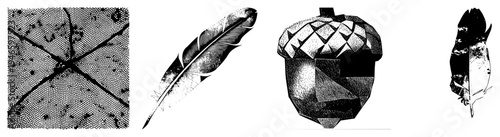 Stylized acorn with faceted design, halftone dot, feather cutouts, vector illustration, graphic, nature motif, isolated elements.