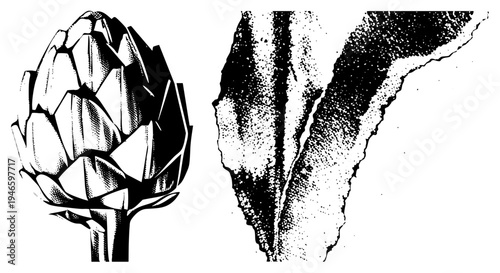 Graphic illustration of artichoke bud and leaf, halftone shading, vector art, botanical design, black and white, food, isolated elements.