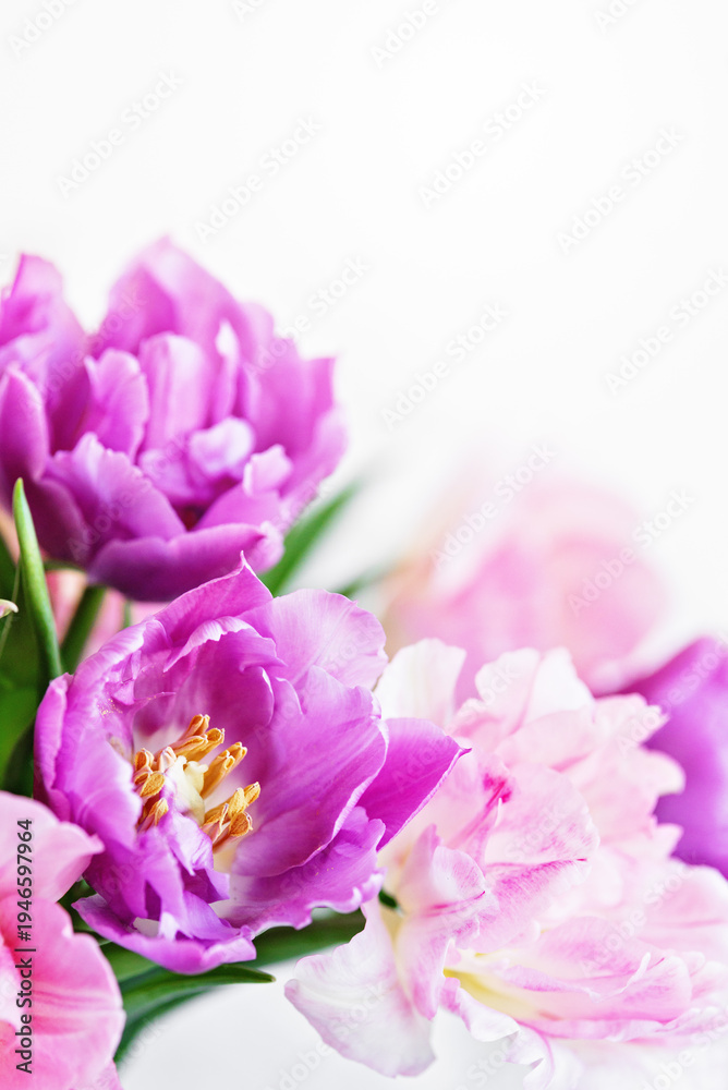 Obraz premium spring greeting background with pink and purple flowers. Romantic spring floral composition perfect for Mothers Day, greeting cards, weddings, and feminine design themes.