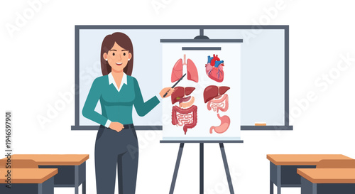 Anatomy teacher presenting human organs on a whiteboard in a classroom