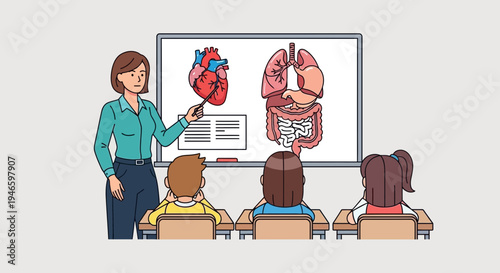 A teacher instructing students about human anatomy with illustrations of the heart and digestive system on a whiteboard
