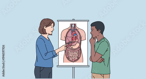 Teacher Explaining Human Anatomy Diagram to Attentive Student