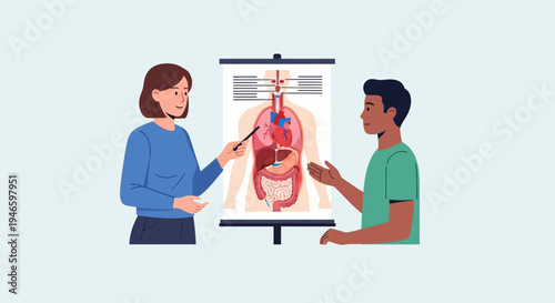 Teacher presenting human anatomy diagram to attentive student, illustrating internal organ systems for health education.