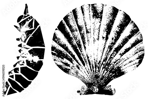 Black and white vector illustrations of scallop and crab, halftone textured, isolated graphics, marine life symbols, decorative elements.