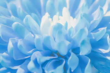 Fototapete Krankenhaus Blau-weiße florale Aquarell-Komposition  © moryachka