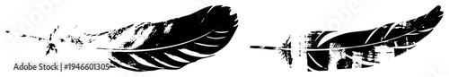 Black and white feather illustration with distressed halftone texture, isolated vector design, graphic art, feather motif, silhouette style.