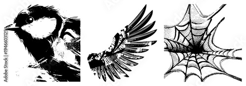 Black and white halftone bird portrait, feathered wing in motion, intricate spider web, graphic art, isolated elements, vector illustration, nature motifs.