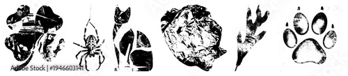 Graphic representations of a cat, spider, crumpled foil, leaf, and paw print in halftone texture, vector art, isolated elements, black and white design.