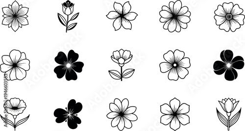 Black and white flower flowers line floral