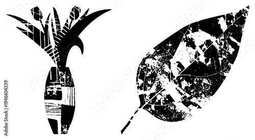 Stylized black vase with tulips and leaf with distressed texture, vector graphic, botanical design, isolated elements, artistic silhouette.