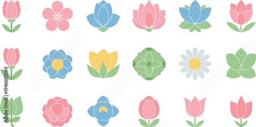 Colorful flower in rows on white flowers background 1 tulips