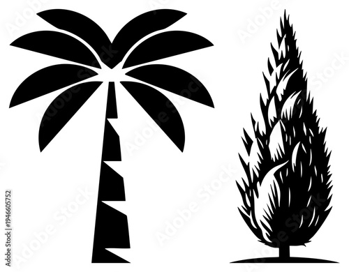 Tropical palm tree and spiky conifer tree as minimalist black vector, tropical foliage, nature, botanical symbol, isolated graphic elements.