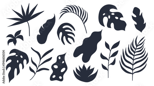 Hand drawn abstract tropical leaves collection. Set of vector tropical, palm leaves and botanical elements isolated on transparent background	