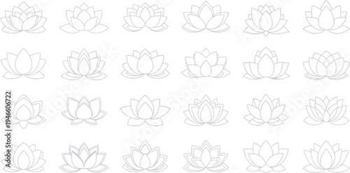 Gray lotus flowers on white background silhouette