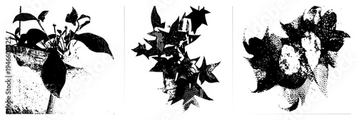 Graphic botanical elements with textured shading, stylized foliage, artistic plant forms, vector art, design, nature inspired motifs.