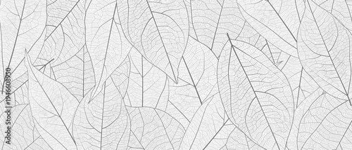 Leaf vein skeleton texture abstract background with close up plant leaf cells ornament texture pattern. Black and white organic macro linear background of nature leaf foliage vector illustration.