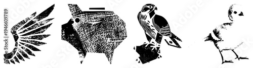 Graphic featuring wing, pig,, and chick with halftone textures, flat design, isolated vector elements, black and white.