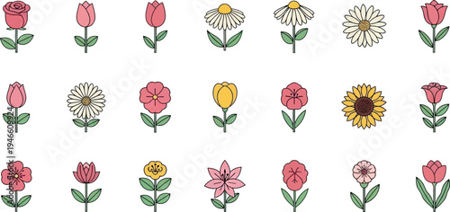 Colorful flowers on white background tulips