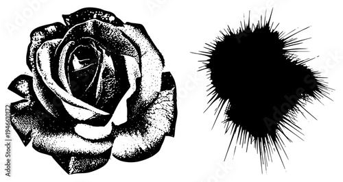 Vector rose rendered in halftone dots, paired with ink blot splatter, isolated graphic elements, design, artistic stencil style.