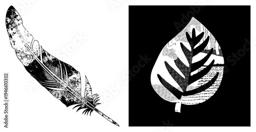 Ornamental feather with textured strokes and leaf with halftone shading, both in vector art, graphic design elements for branding or print.