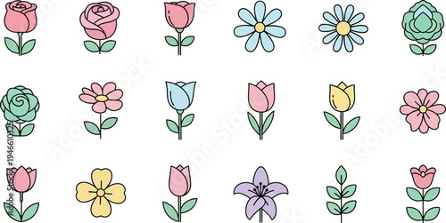Colorful flower in rows flowers white background