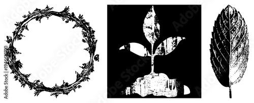 Black & white hand drawn botanical wreath, sprouting plant, leaf in vintage engraved style. Ideal for eco design, herbal branding, print templates.