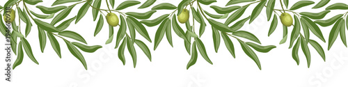 Olive branches with fruit seamless border. Upper vector hand drawn divider illustration for cafe and restaurant template. Italian food cartoon repeat drawing perfect for product packaging graphic.